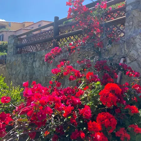 Σπίτι διακοπών Casa Violet 2